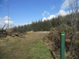Image on trail
