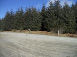 Image on trail