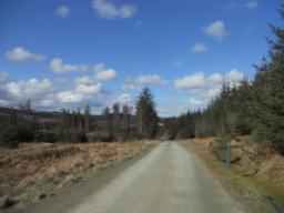 Image on trail