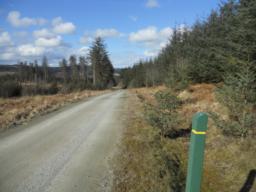 Image on trail