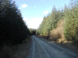 Image on trail