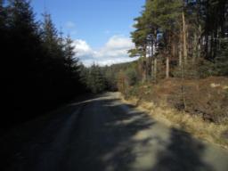 Image on trail