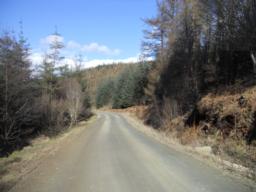 Image on trail