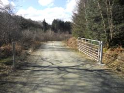 Image on trail
