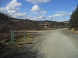 Image on trail