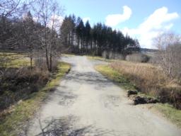 Image on trail