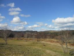 Image on trail