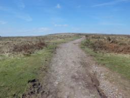 Image on trail