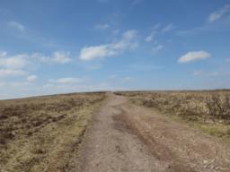 Image on trail