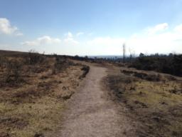 Image on trail