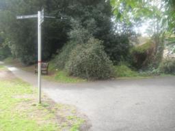 Image on trail