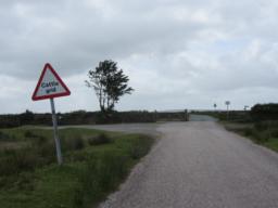 Image on trail