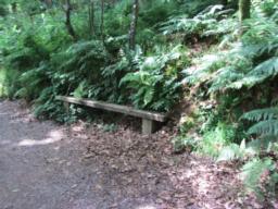Image on trail