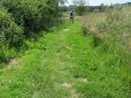 Image on trail
