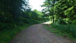 Image on trail