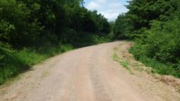 Image on trail