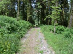 Image on trail