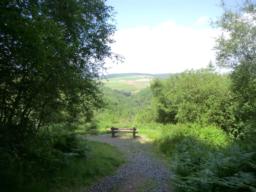 Image on trail