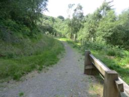 Image on trail
