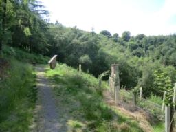 Image on trail