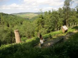 Image on trail