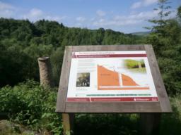 Image on trail