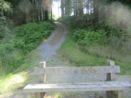 Image on trail