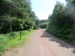 Image on trail