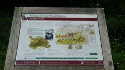 Image on trail