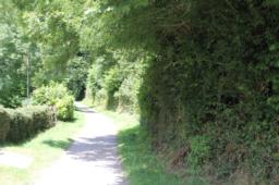 Image on trail