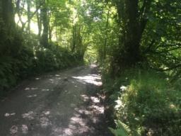 Image on trail