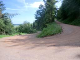 Image on trail