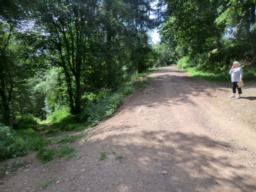 Image on trail