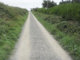 Image on trail