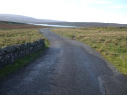 Image on trail