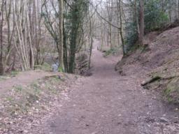 Image on trail