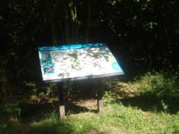 Image on trail