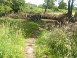 Image on trail
