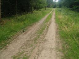Image on trail