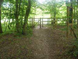 Image on trail