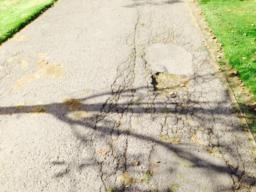 Image on trail