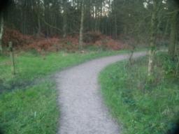 Image on trail