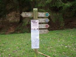 Image on trail