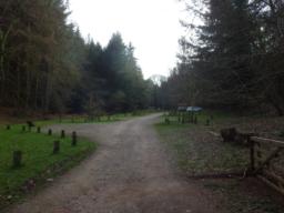 Image on trail