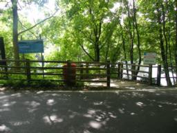 Image on trail