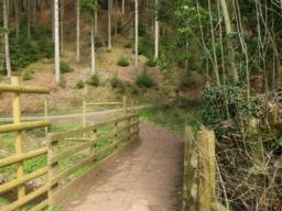Image on trail
