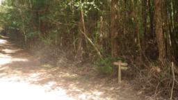 Image on trail