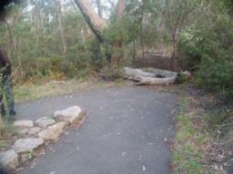 Image on trail