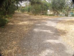 Image on trail