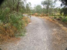Image on trail